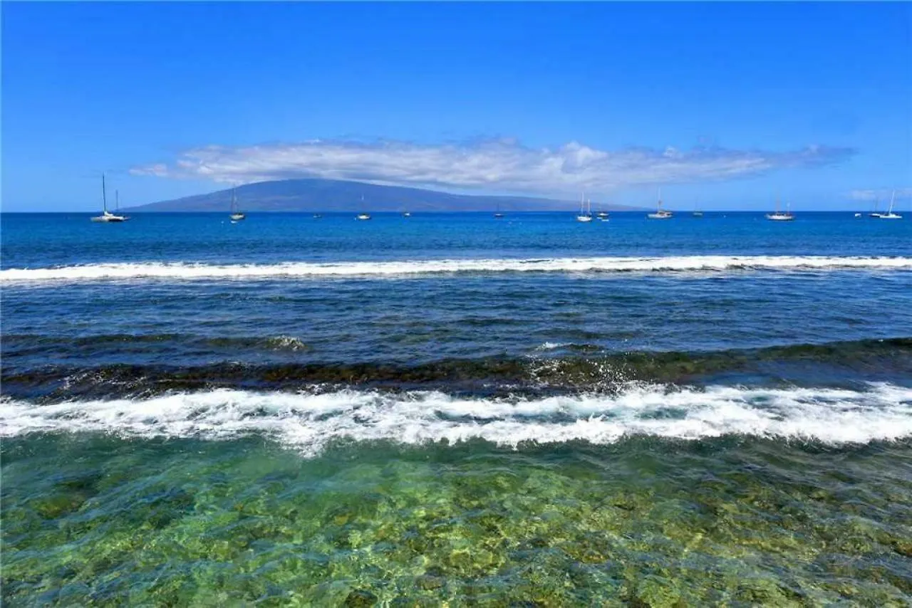 1 Bedroom Ocean Front Condo In Lahaina Town - Sleeps 4 - Lahaina Roads #204 Holiday home